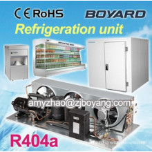 Boyard R404A hermetic rotary refrigeration compressor for cold storage room for food